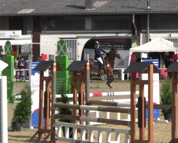 Reitturnier Bottrop 2023