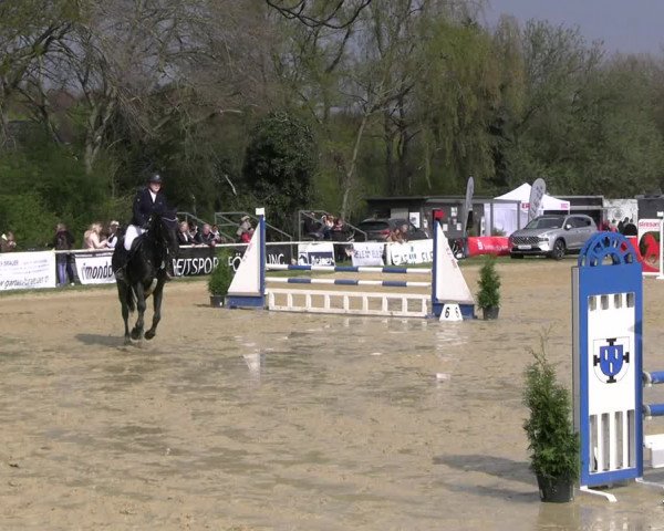 Reitturnier Bottrop 2023