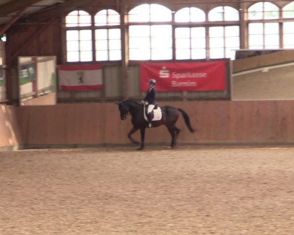 Reitturnier Elisenau 2021