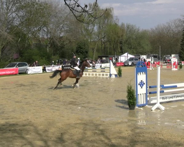 Reitturnier Bottrop 2023