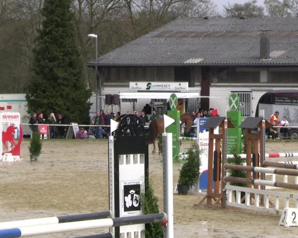 Reitturnier Bottrop 2023