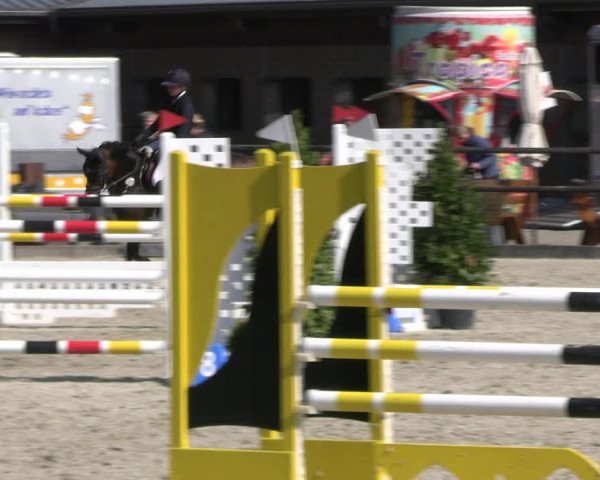 Reitturnier Diepholz 2023