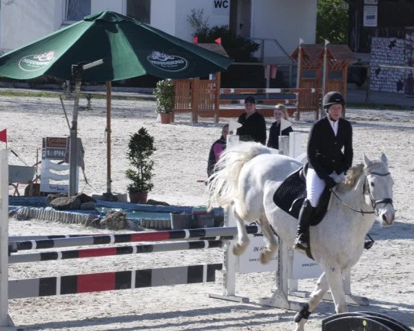 Reitturnier Ingolstadt-Hagau/Obb. 2023