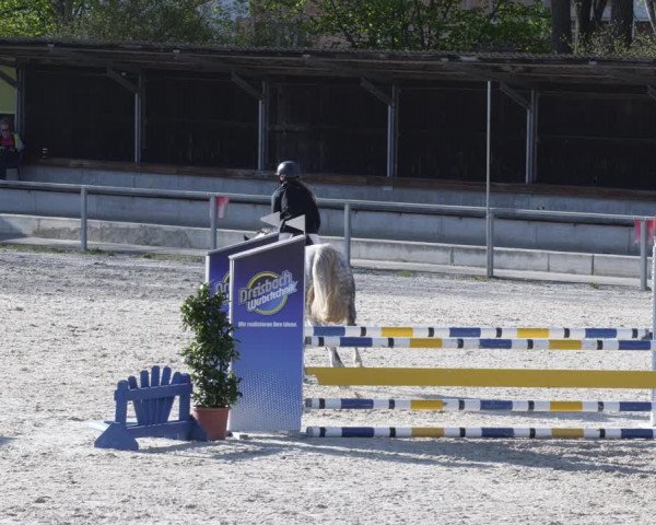 Reitturnier Ingolstadt-Hagau/Obb. 2023