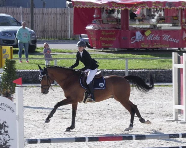 Reitturnier Ingolstadt-Hagau/Obb. 2023