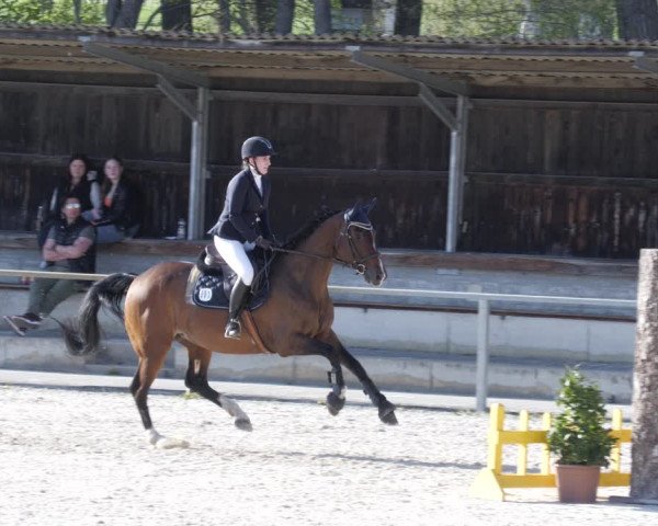 Reitturnier Ingolstadt-Hagau/Obb. 2023