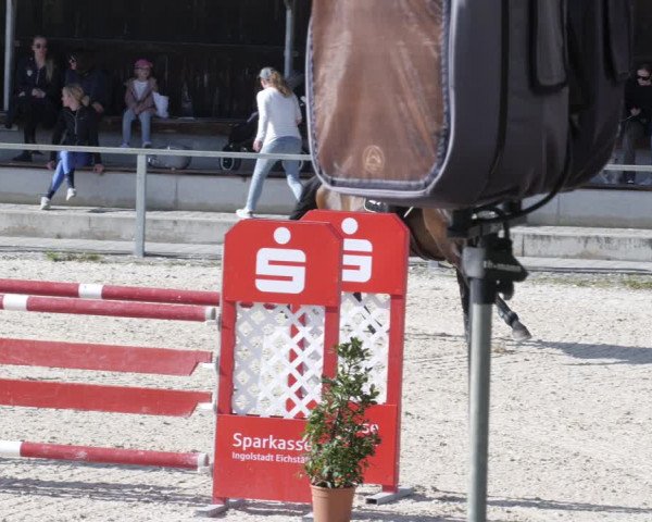 Reitturnier Ingolstadt-Hagau/Obb. 2023