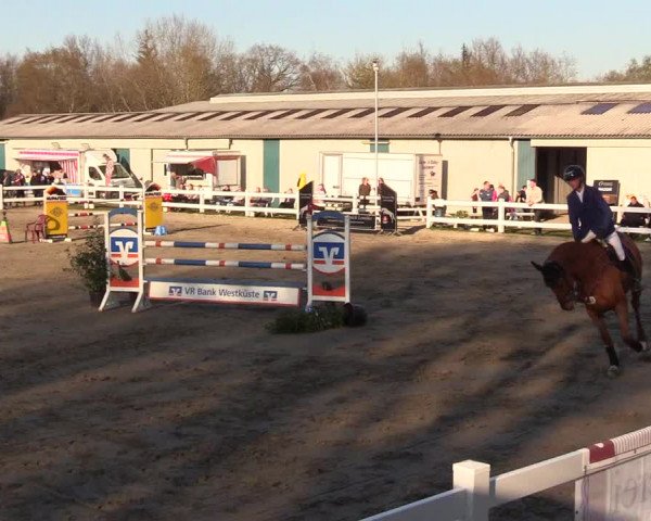 Reitturnier Mildstedt 2023