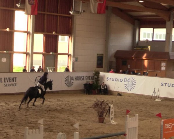 Reitturnier Prussendorf 2021