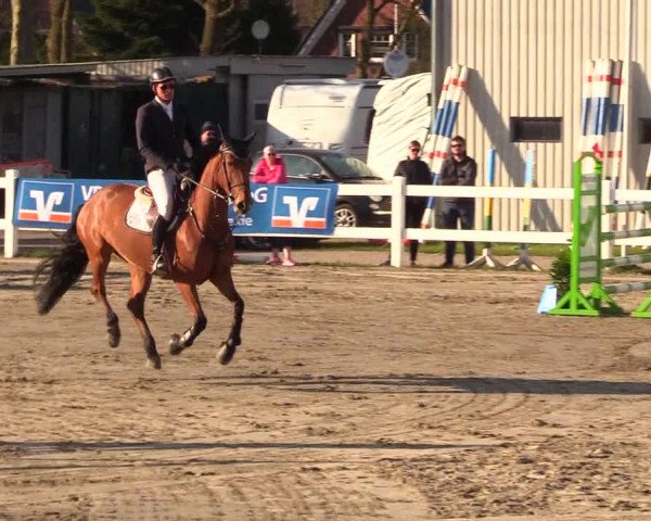 Reitturnier Mildstedt 2023