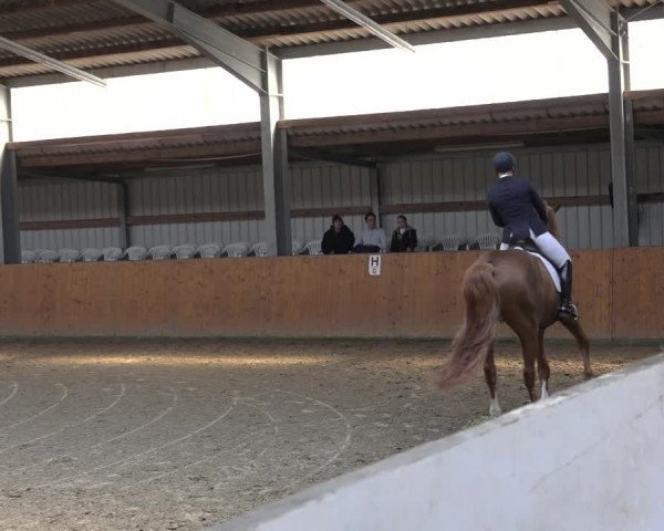 Reitturnier Schlieckau 2023