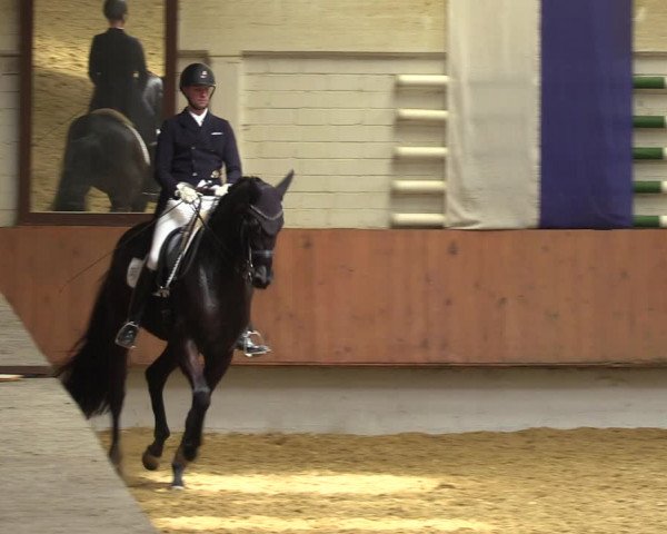 Reitturnier Bottrop 2023