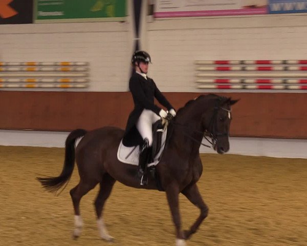 Reitturnier Bottrop 2023