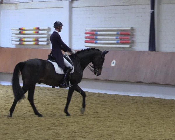 Reitturnier Bottrop 2023