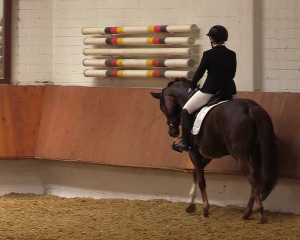 Reitturnier Bottrop 2023