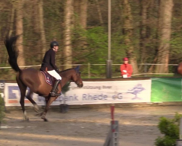 Reitturnier Rhede 2023