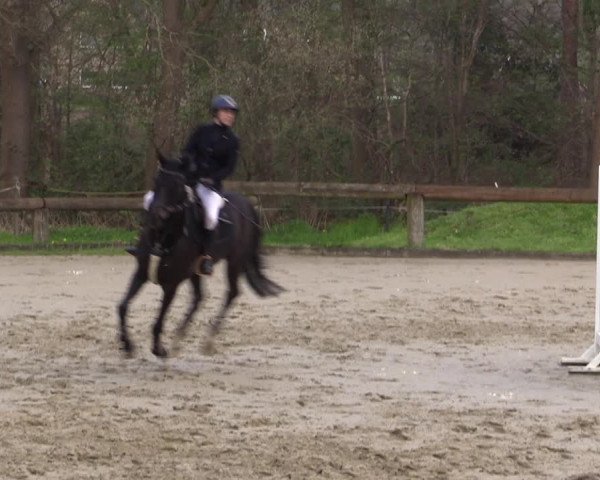 Reitturnier Rhede 2023