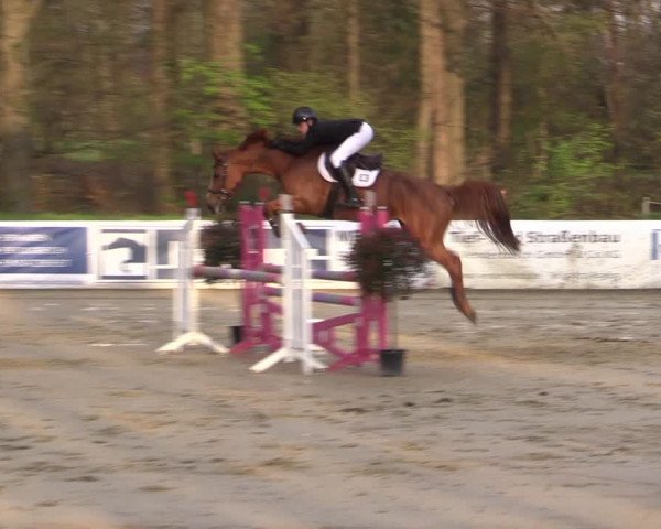 Reitturnier Rhede 2023