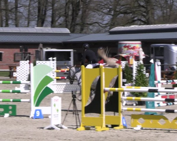 Reitturnier Diepholz 2023