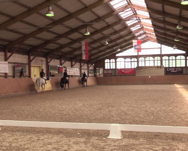 Reitturnier Elisenau 2021