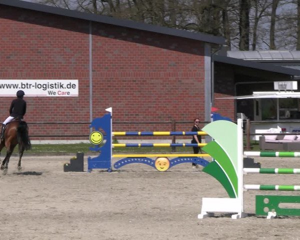 Reitturnier Diepholz 2023