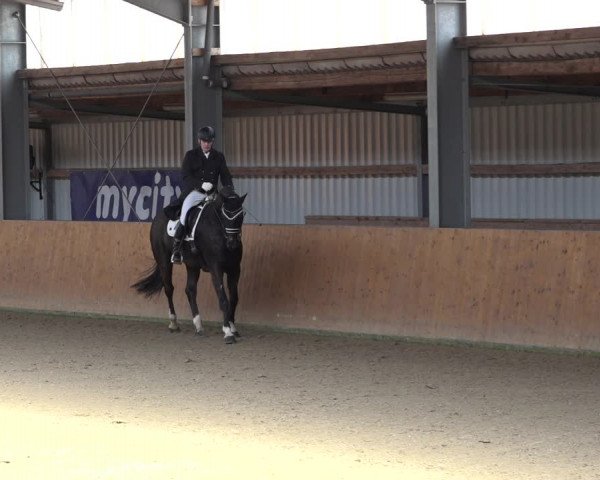 Reitturnier Schlieckau 2023
