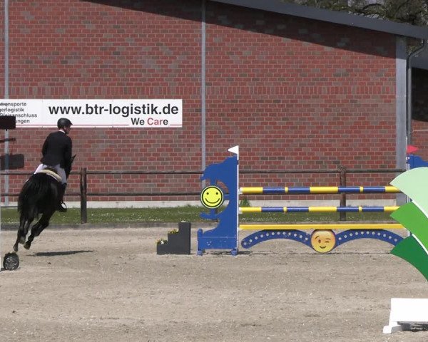 Reitturnier Diepholz 2023