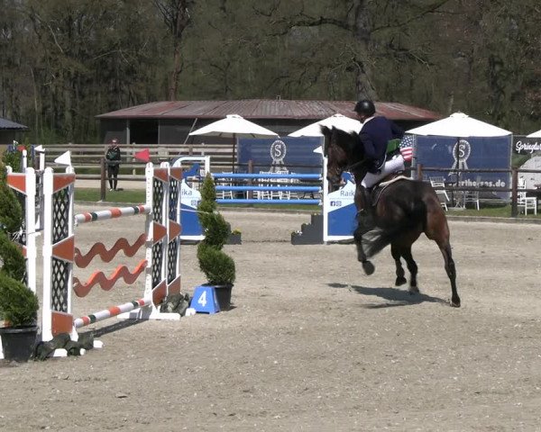 Reitturnier Diepholz 2023