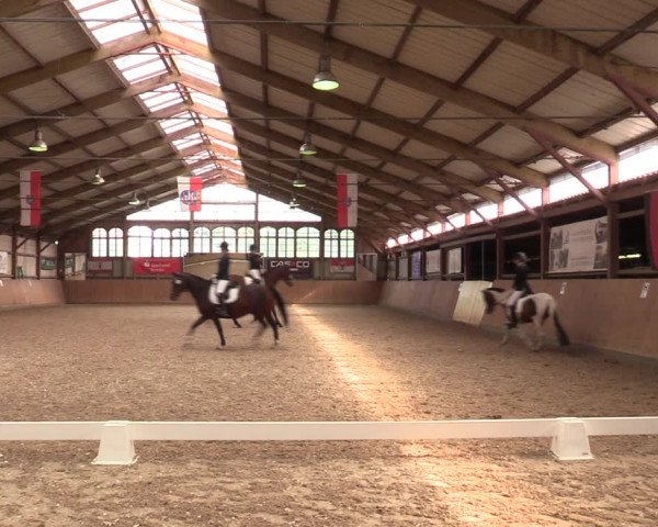 Reitturnier Elisenau 2021