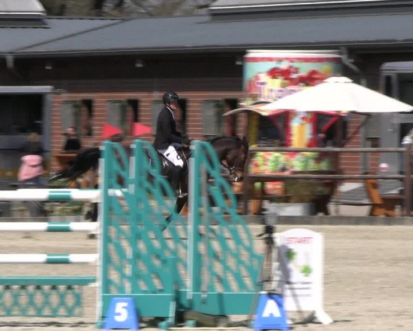 Reitturnier Diepholz 2023