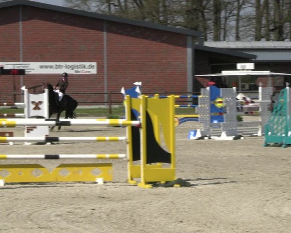 Reitturnier Diepholz 2023