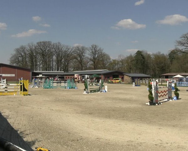 Reitturnier Diepholz 2023