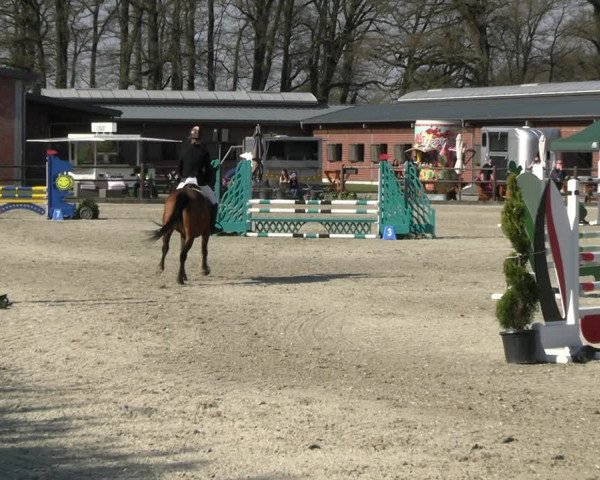 Reitturnier Diepholz 2023