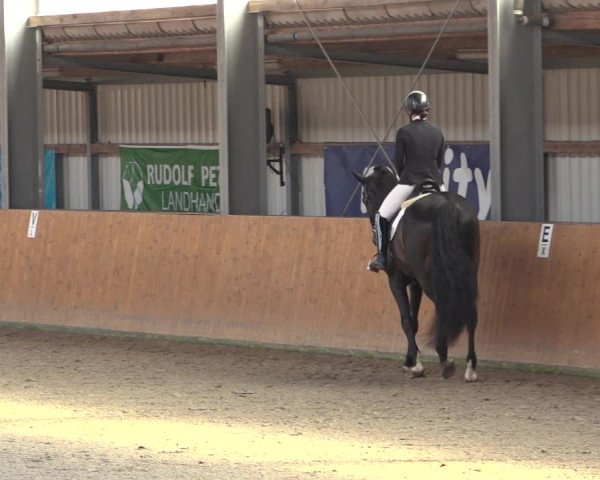 Reitturnier Schlieckau 2023