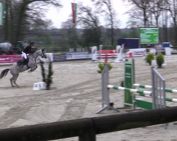 Reitturnier Rhede 2023