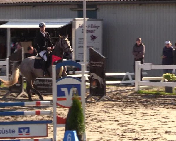 Reitturnier Mildstedt 2023
