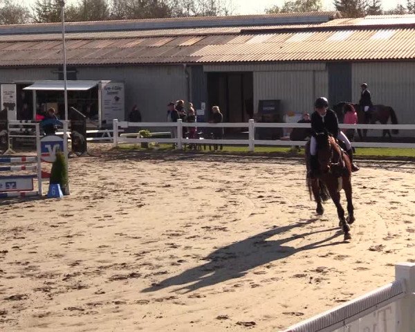 Reitturnier Mildstedt 2023