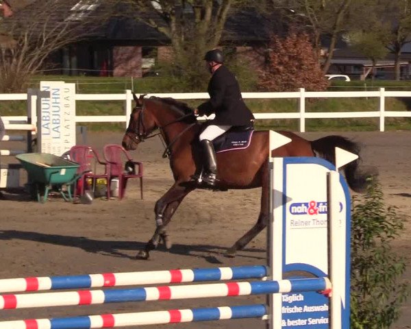 Reitturnier Mildstedt 2023