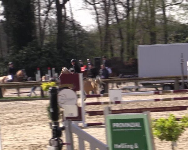 Reitturnier Rhede 2023