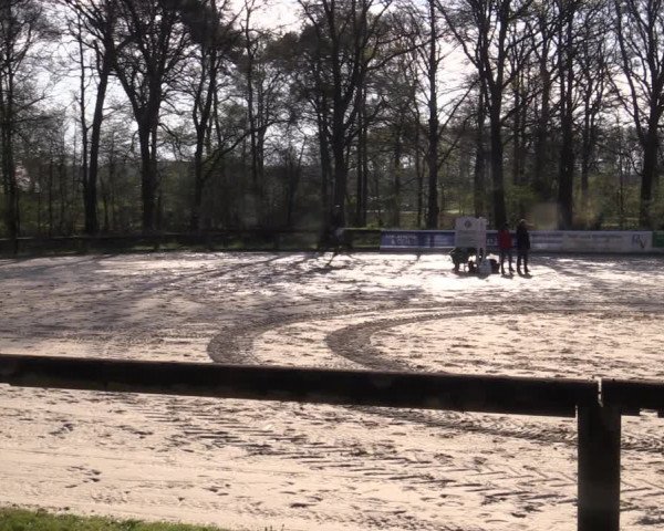 Reitturnier Rhede 2023