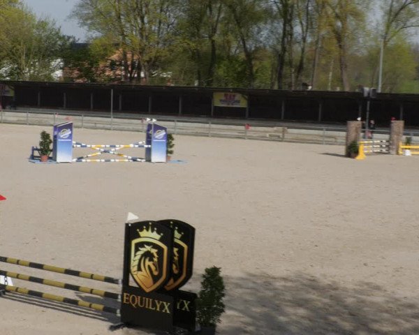 Reitturnier Ingolstadt-Hagau/Obb. 2023