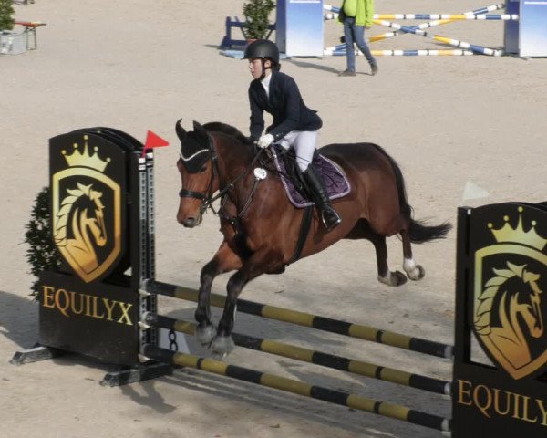 Reitturnier Ingolstadt-Hagau/Obb. 2023