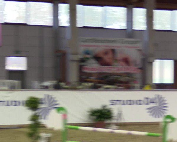 Reitturnier Prussendorf 2021