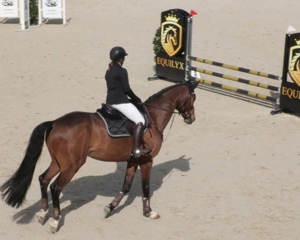 Reitturnier Ingolstadt-Hagau/Obb. 2023