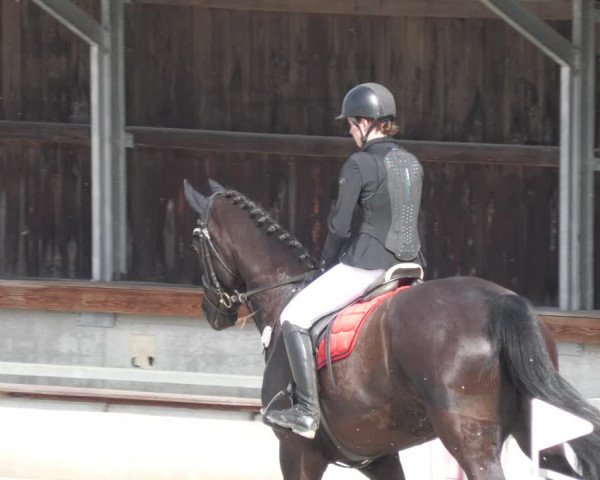 Reitturnier Ingolstadt-Hagau/Obb. 2023