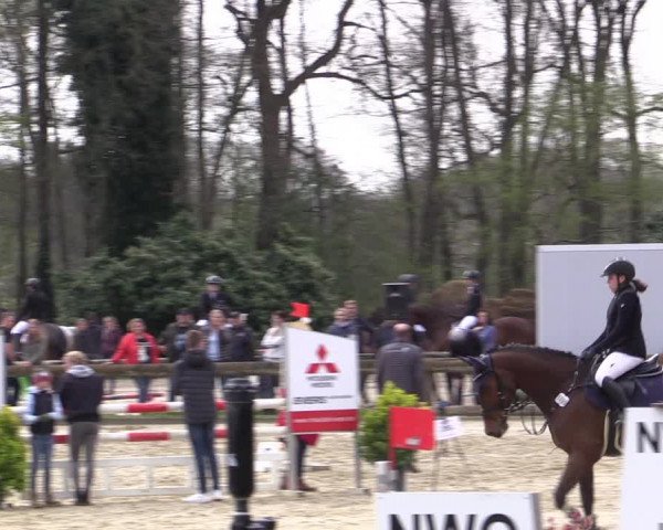Reitturnier Rhede 2023