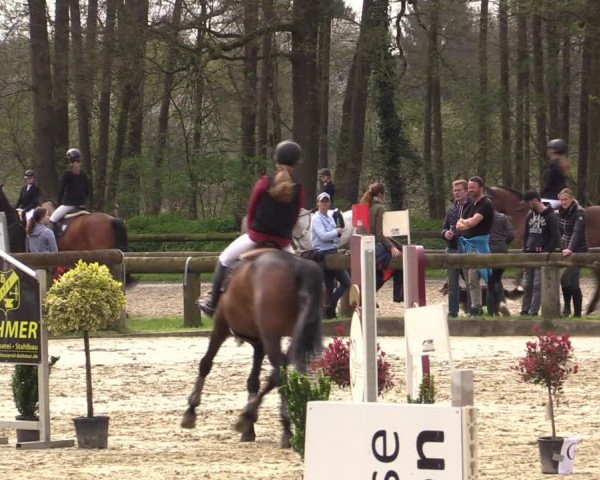 Reitturnier Rhede 2023