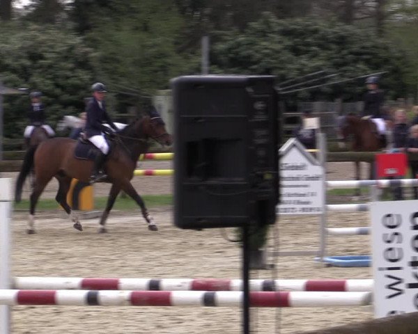 Reitturnier Rhede 2023