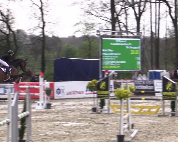 Reitturnier Rhede 2023