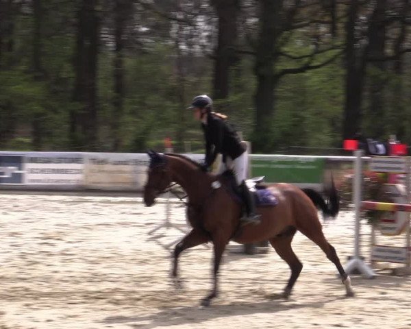 Reitturnier Rhede 2023